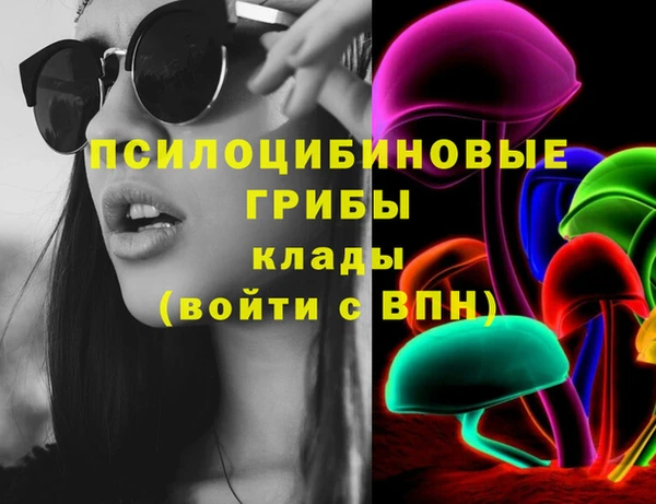 герыч Алексин